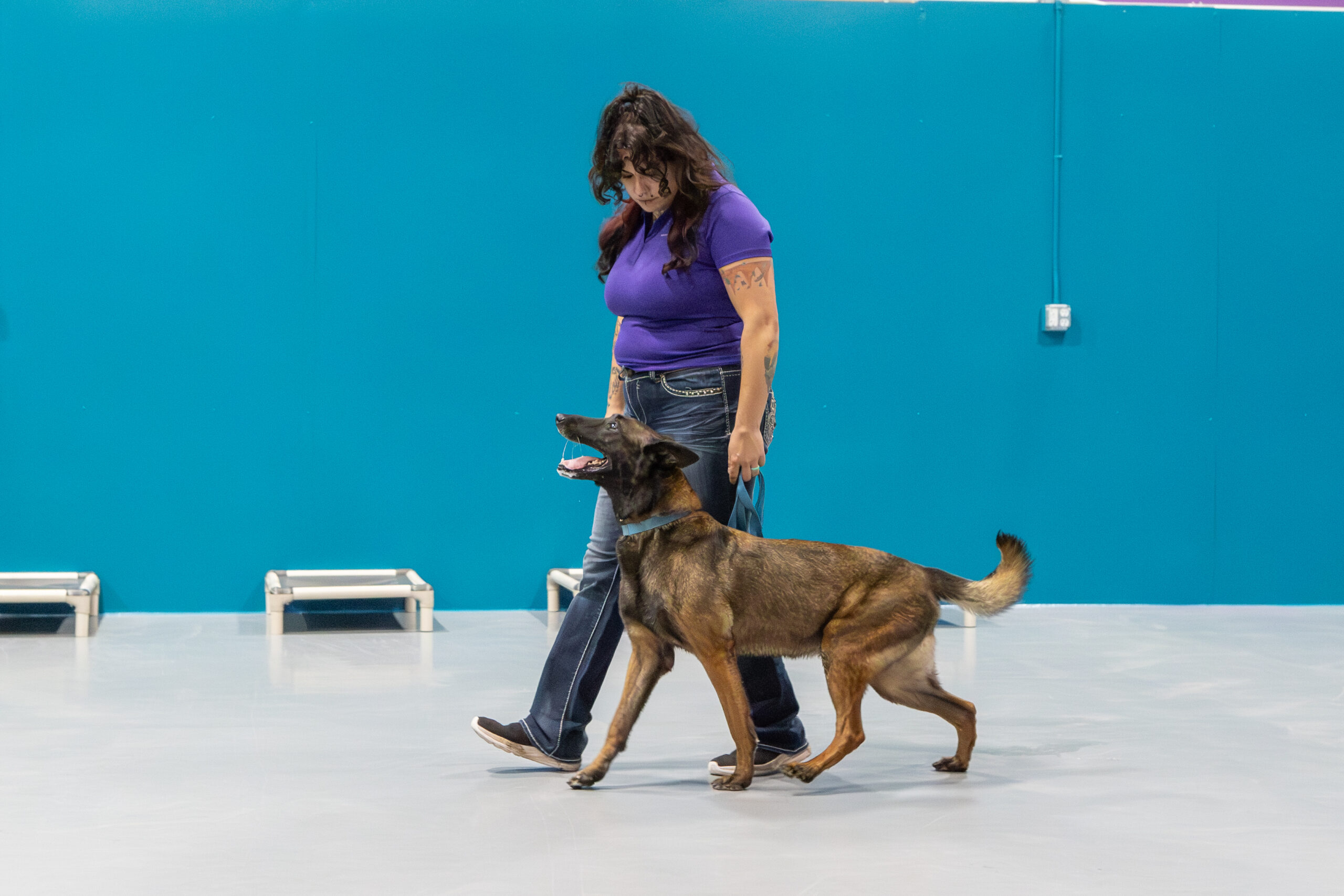 private-dog-training