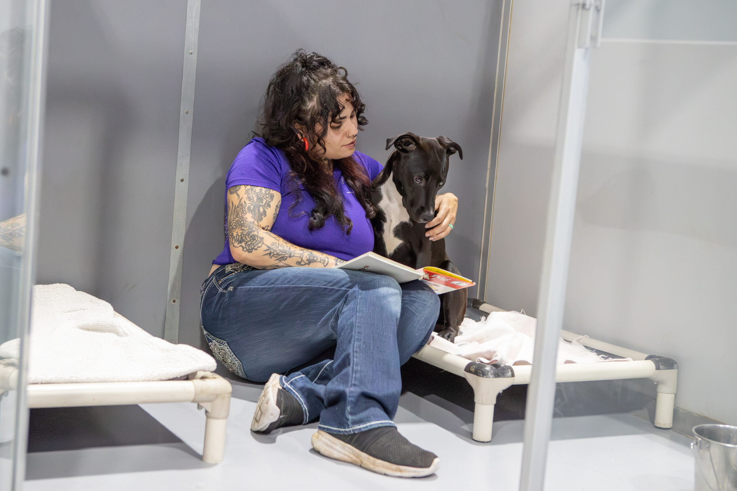 Dog Boarding in West Des Moines