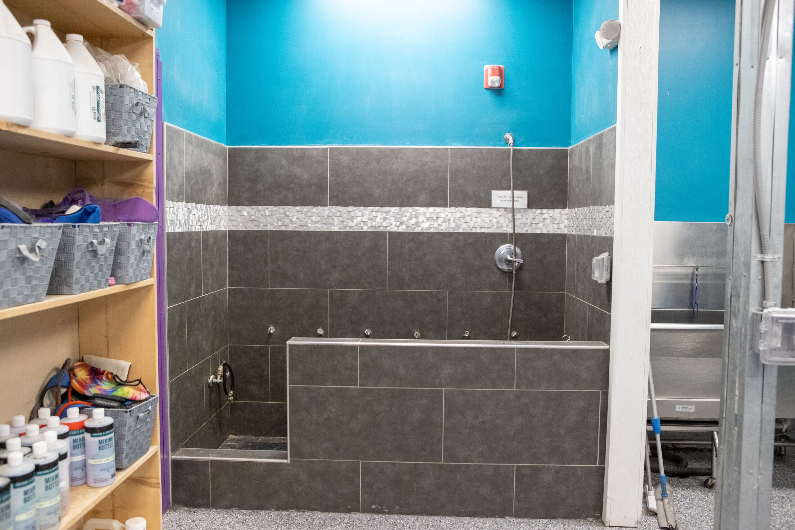 dog grooming west des moines